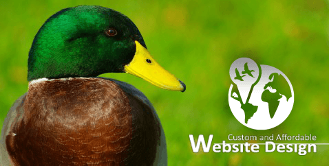 WordPress Design
