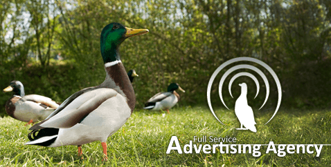Marketing, Branding, and Advertising Services