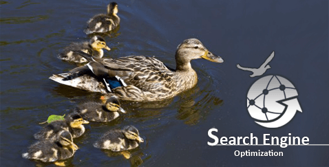 Organic Search Engine Optimization | Organic SEO