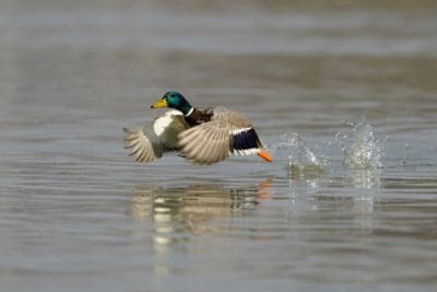 graphic design services | website design services | design service