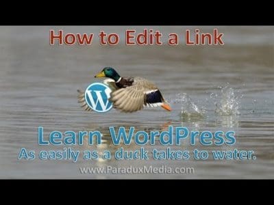 Video thumbnail for youtube video WordPress Tutorial: How to Edit a Link [VIDEO] - Paradux Media Group