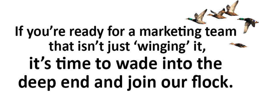 Ducks on Dock Welcome to the Pond-bulletin-mobile