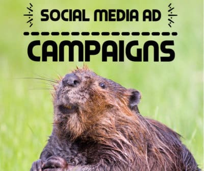 Social Media Ad Campaigns