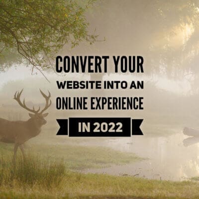 Convert Your Website into an Online Experience in 2022