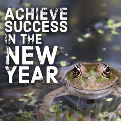 Achieve Success in the New Year