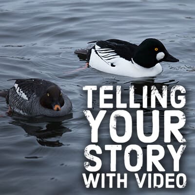 Telling Your Story with Video | Paradux Media Group