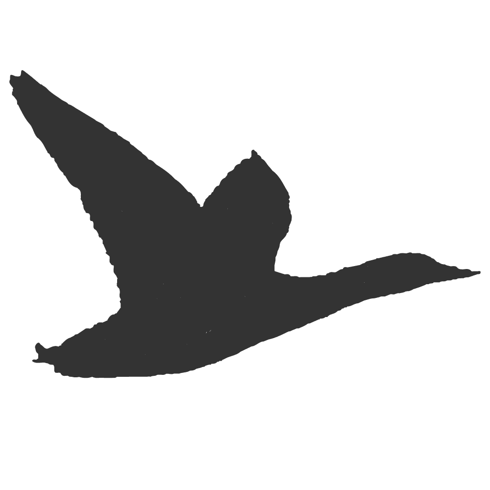 Southern Oregon's Advertising Agency - Paradux Media Group Advertising Agency Capabilities